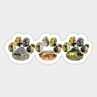 African Wildlife Lion pawprint Trio Collage Sticker